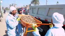 Cleanliness and awareness campaign / Job Creation in Public Works