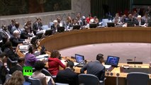Чуркин: Доклад ООН о ситуации на Украине обвиняет ополченцев «чуть ли не в людоедстве»