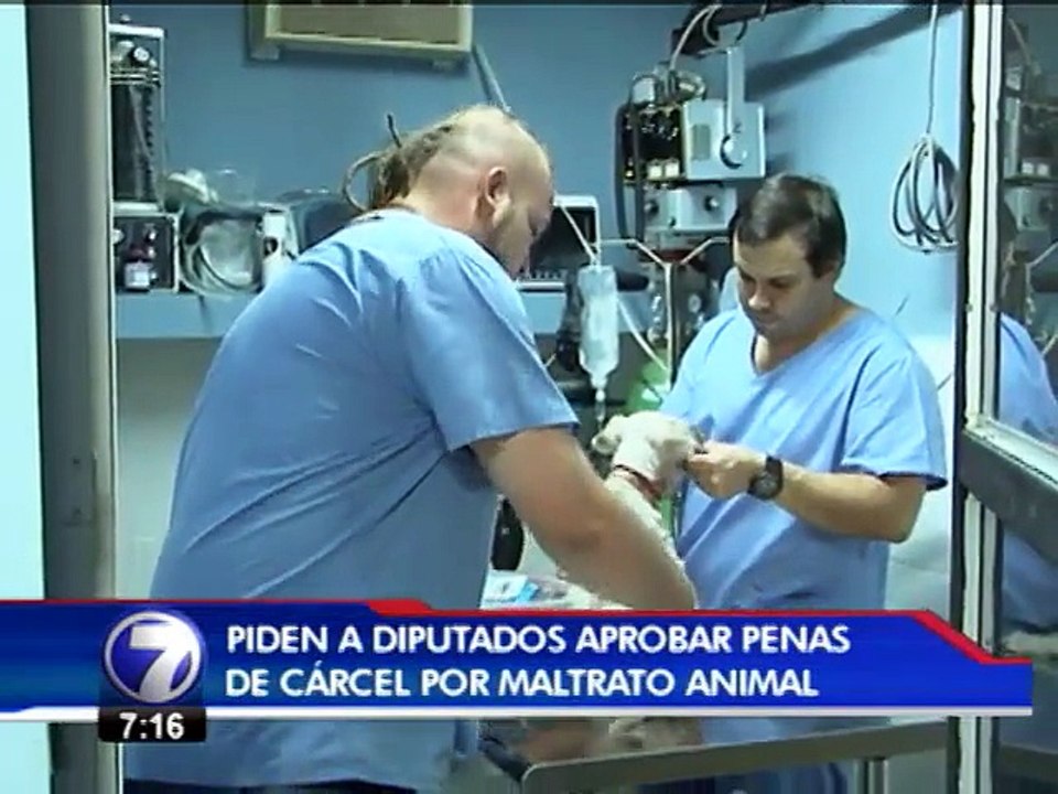 Grupos defensores de animales piden a diputados...