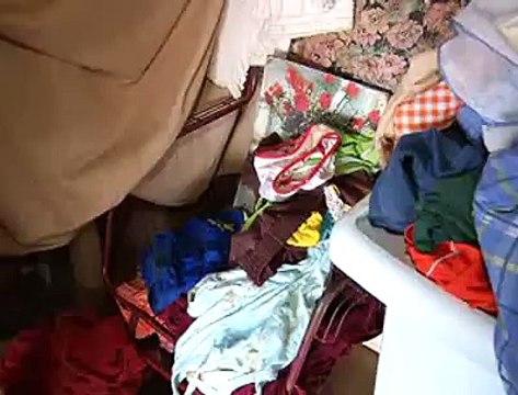 Jornal local: Casas sao sebastiao