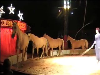 Zippos Circus 2011
