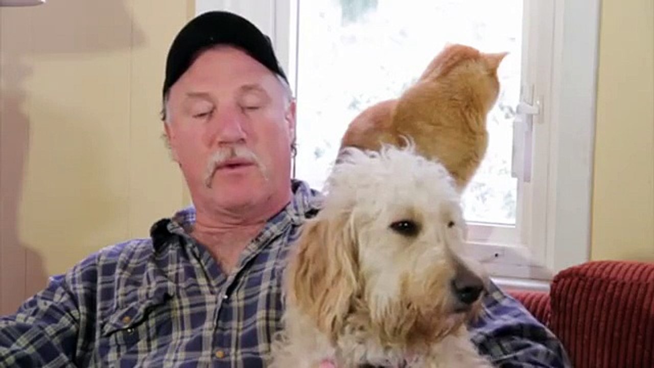 A Free Range Turkey Farm in Duncan - Shaw TV Duncan