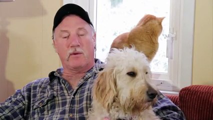 A Free Range Turkey Farm in Duncan - Shaw TV Duncan