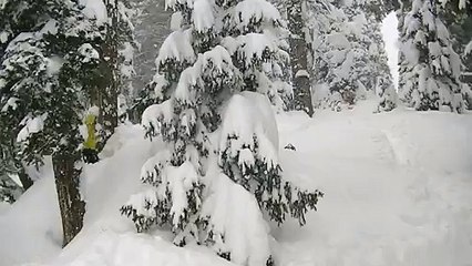 Skiing 2015 Gulmarg ,India