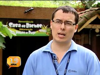 ¿Qué encierra el fascinante mundo de los insectos?