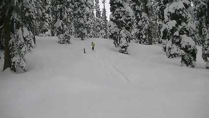 Snowboarding In Gulmarg , Tree line