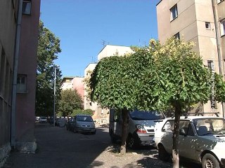 Aktuelno, 02. jul 2015. (RTV Bor)