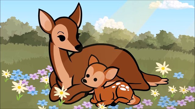 [VOSTFR] The forest - Cyanide & Happiness Shorts