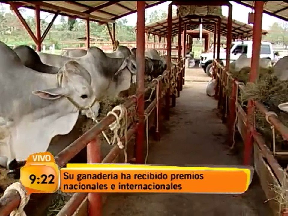 Una familia vive en medio de una verdadera pasi...