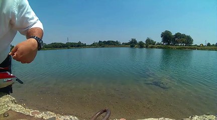 FT012 brushless RC Boat running in Italy!