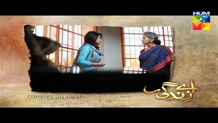 Aye Zindagi Episode 17 - HUM TV Drama series
