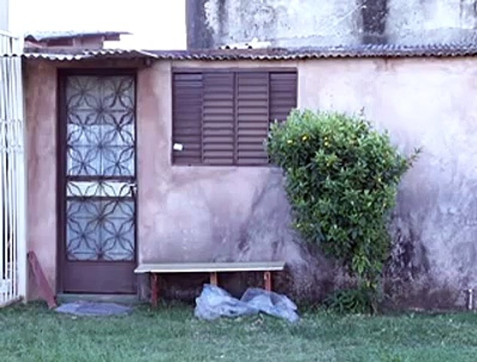 Jornal local: estupro samambaia