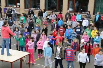 Klimop: move tegen pesten 2