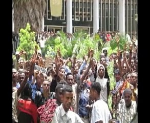 Ethiopian protest