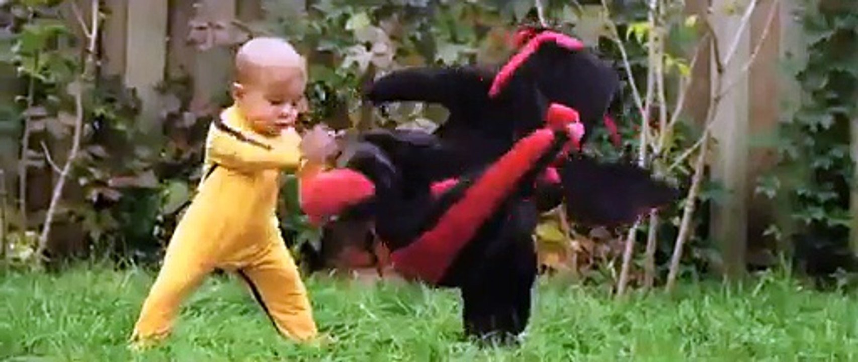 Dragon baby