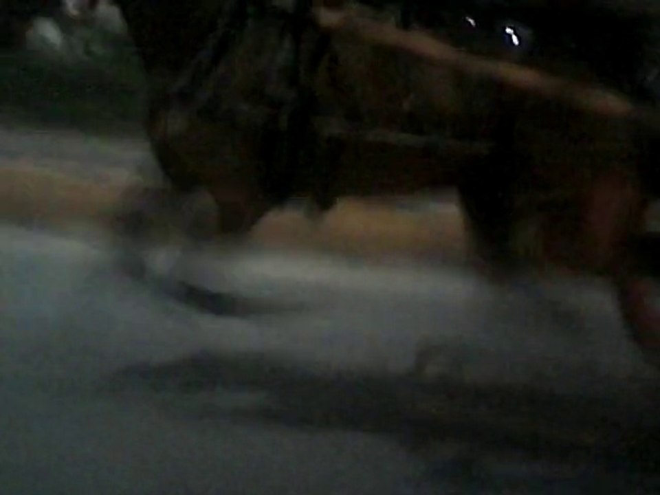 Shanawaz horse try Rawalpindi