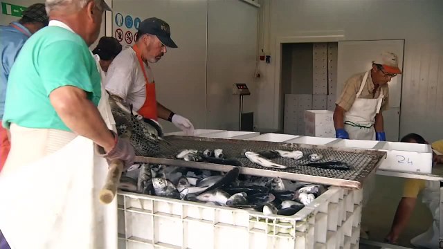 INESC TEC: Série Documental Mar - a terra prometida - episódio 2, SIC Notícias, 27-12-2014