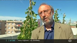 Santé: Les dangers des perturbateurs endocriniens (Toulouse)