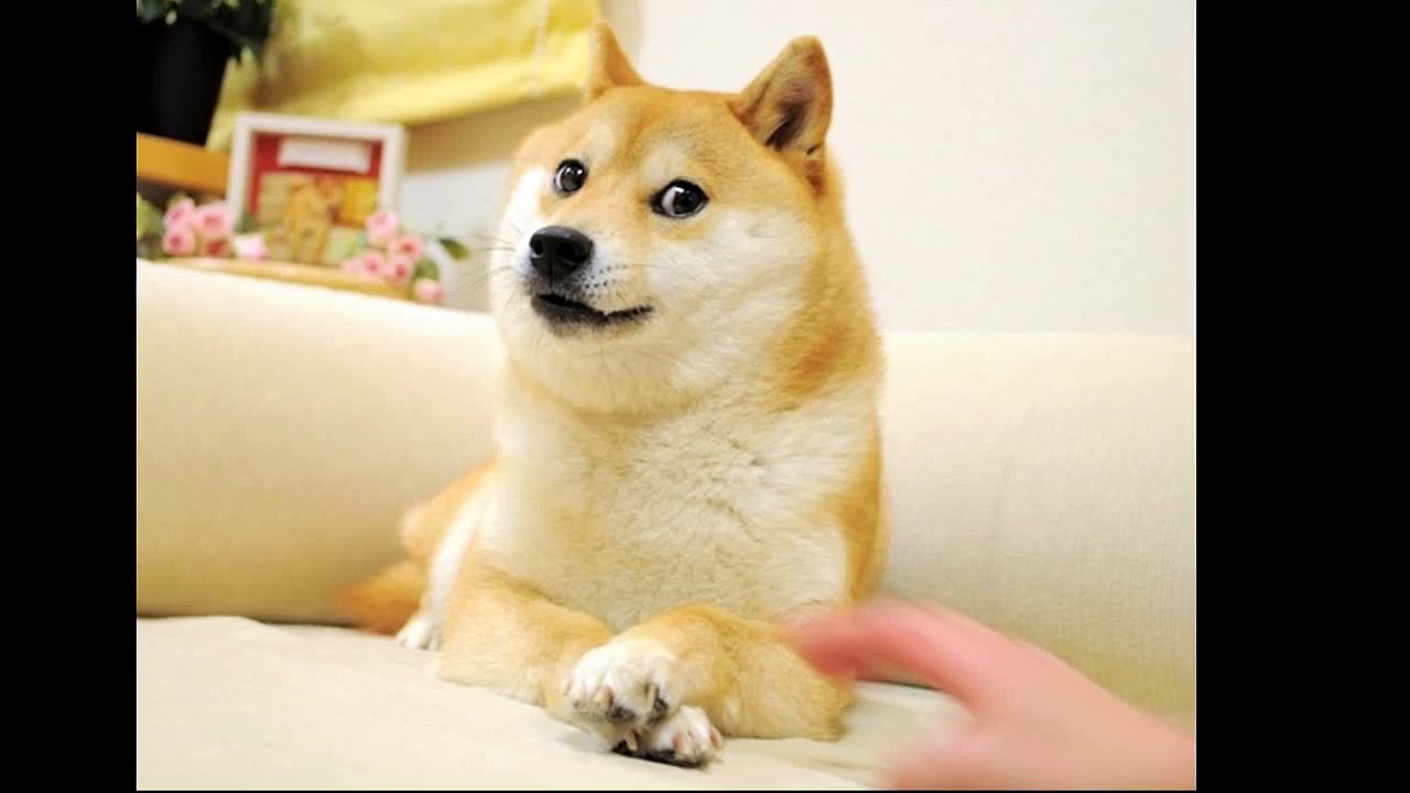 Doge - Only Time