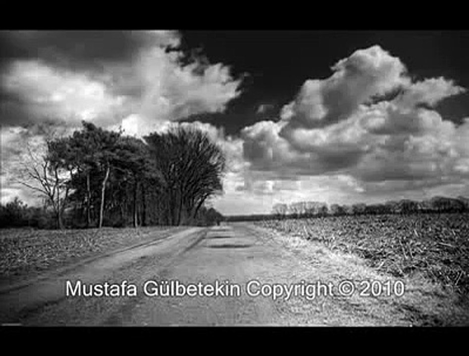 tut ağacı-song in azeri turkish "dut agacı boyunca" "mulberry tree"