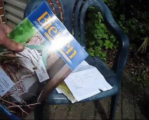 Die verschollenen Königinnen - Bienenköniginnen Dunkle Biene aus Norwegen