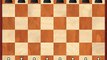Wisepawn Chess Video - Logical Chess Move by Move Game02