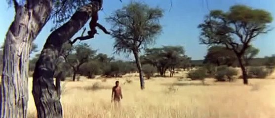 Os Deuses devem estar loucos ^^