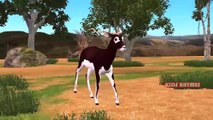 Finger Family Nursery Rhymes for Children Deer Cartoon  Finger Family Children Nursery Rhymes