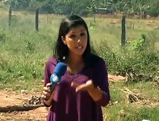 Jornal local: Postes sol nascente