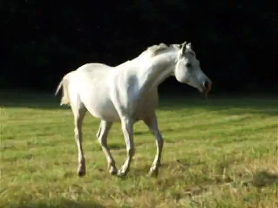 ouverture parc