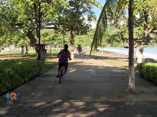 Mar adentro: Cara a cara con el tiburón ballena