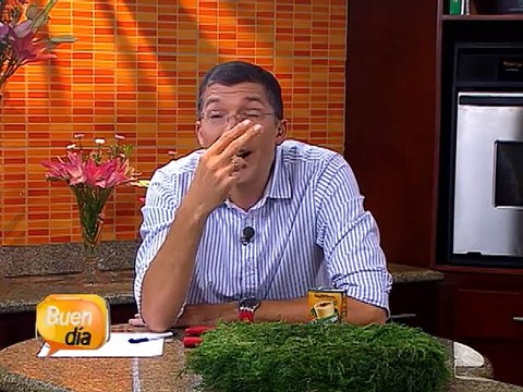 Arreglos y decoraciones florales con aires navideños