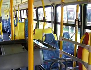 Jornal local: ônibus piratas
