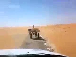 Dog riding on Donkey