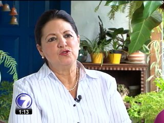 País podría incumplir plazo para presentar informe de in vitro ante CIDH