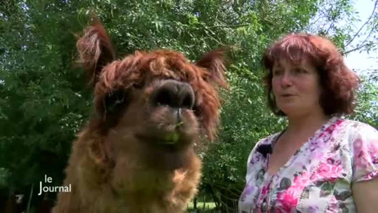 Rencontre avec une productrice de laine (Martinet)