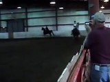 10 year old saddlebred gelding for sale