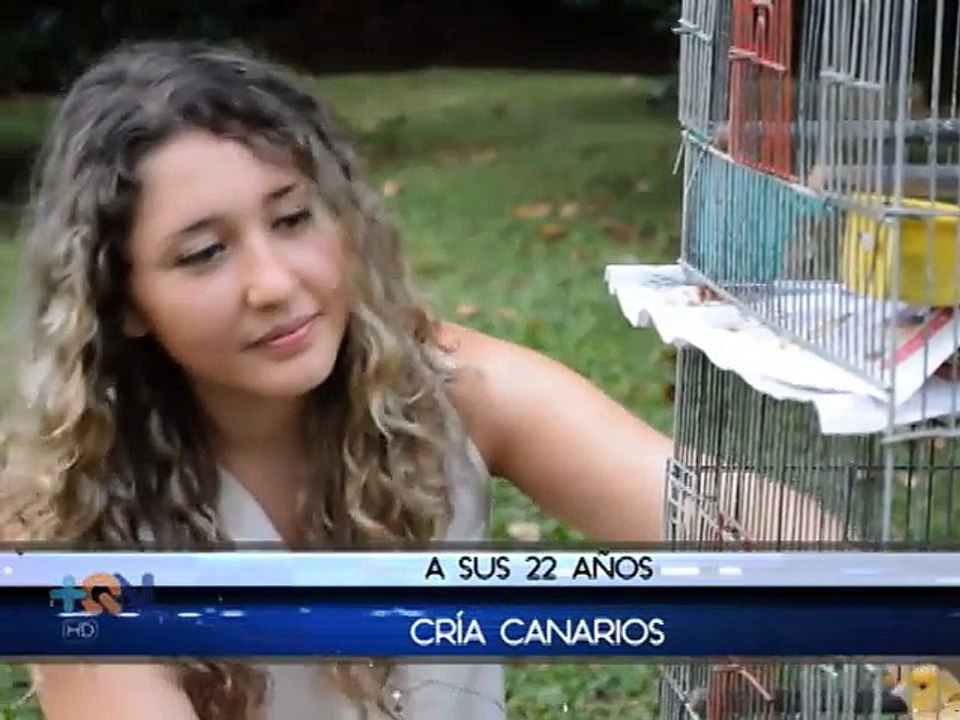 ¿Podrían vivir los canarios fuera de jaulas en...