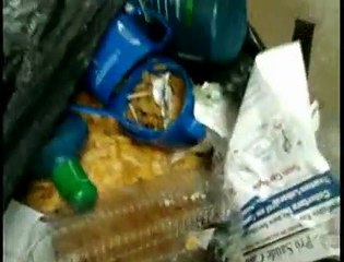 Jornal local: coletiva merenda