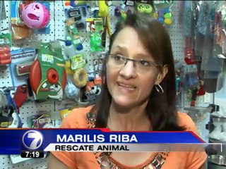Presión para aprobar ley contra maltrato animal se trasladará a las calles de San José