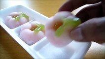 [ Japanese Cuisine ] Eating Japanese sweets  Wagashi  和菓子