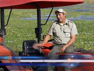 Gracias a miles de costarricenses Palo Verde resucitó y ahora regala un espectáculo natural