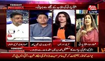 Fight Between Fawad Chaudhry And Shehla Raza