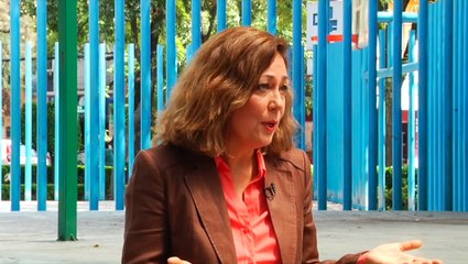 Interviews from Mexico - Morena, New Party on the Left