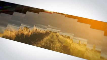 After Effects Project Files - Photo Logo Opener - VideoHive 9723316