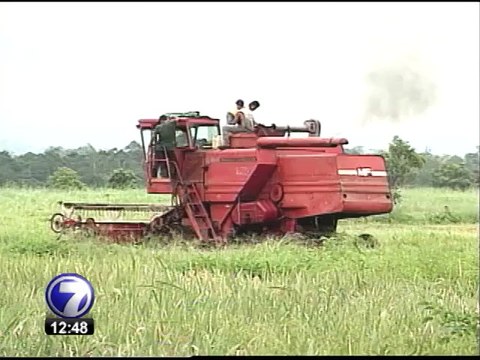 Fijación de precios del arroz enfrenta a consumidores y productores