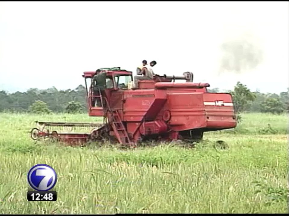 Fijación de precios del arroz enfrenta a consumidores y productores