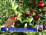 Planta de procesamiento de frutas generará empleo para 300 familias