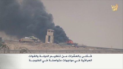 عشرات القتلى من تنظيم الدولة والجيش بمواجهات الفلوجة