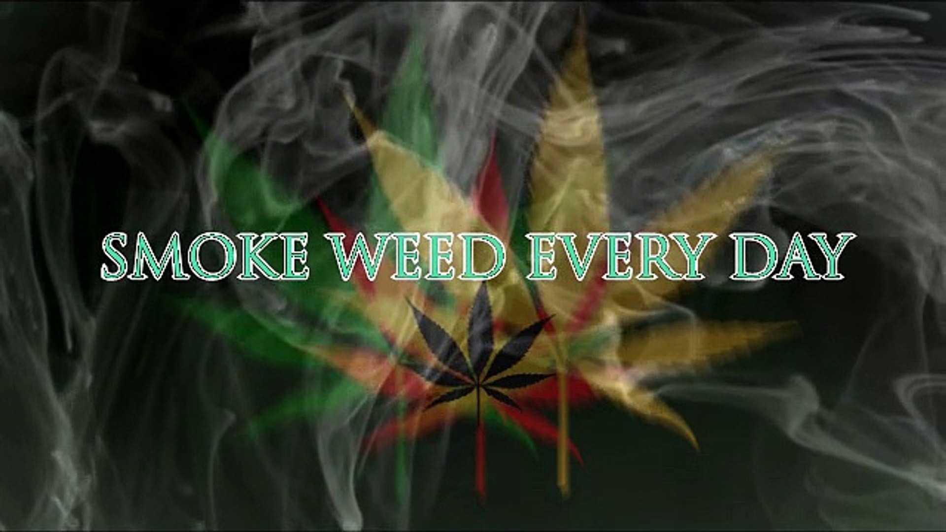Smoke Weed everyday. Smoke Weed everyday клип. Футболка Smoke Weed everyday. Smoke Weed everyday перевод.